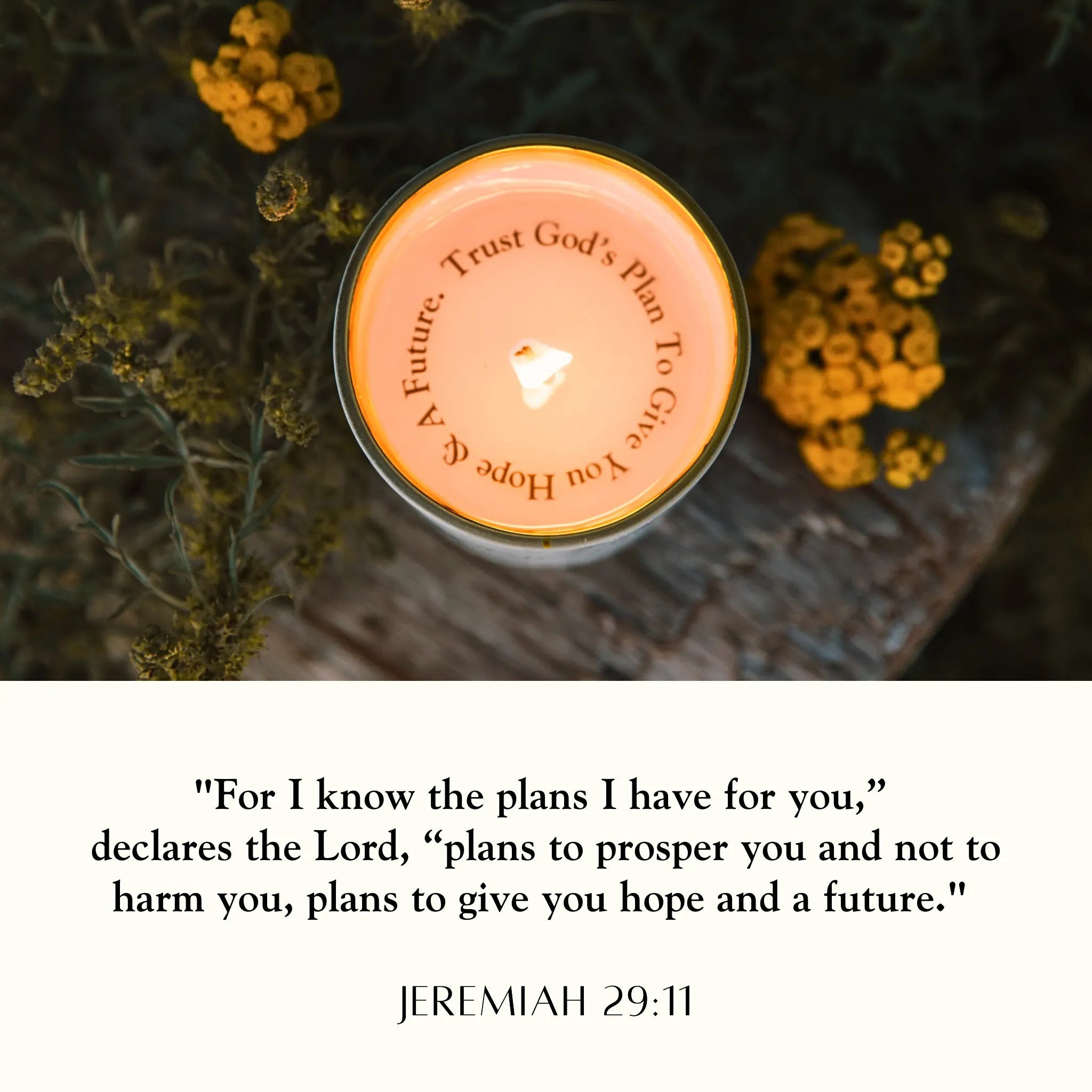 NEW! "Trust God's Plan" Jeremiah 29:11 Revelation Candle