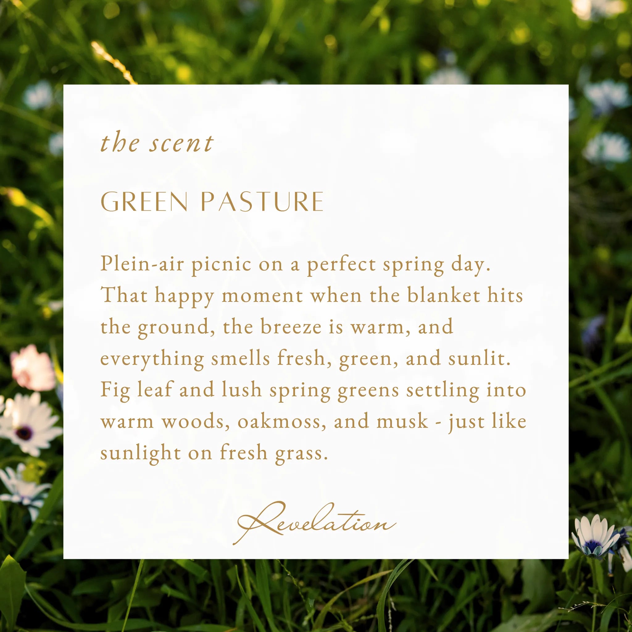 NEW! "Light Shines in Darkness" John 1:5 Revelation Candle